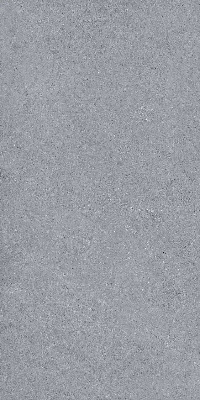 VI2-GM81603