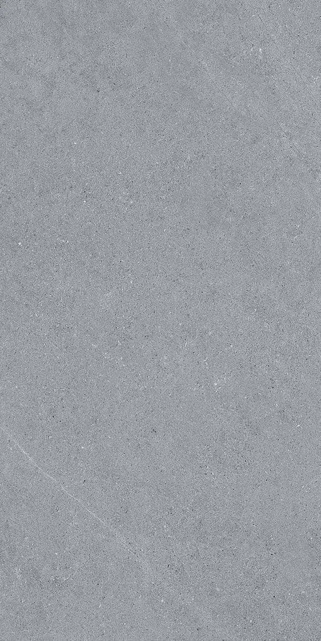 VI2-GM81603