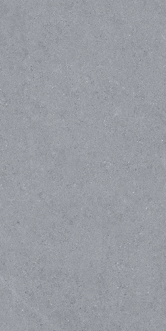 VI2-GM81603