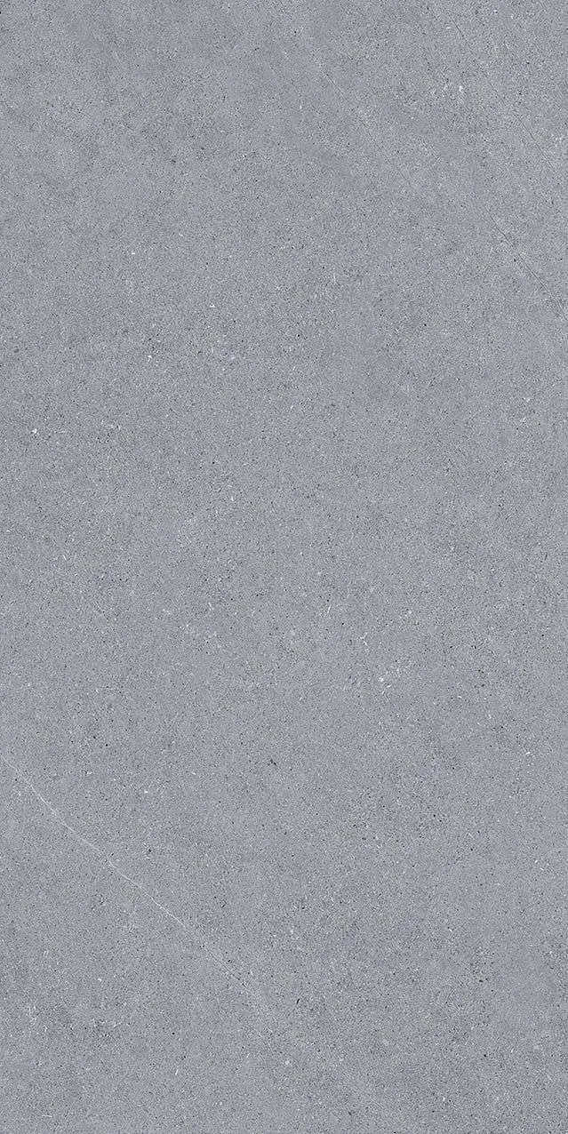 VI2-GM81603