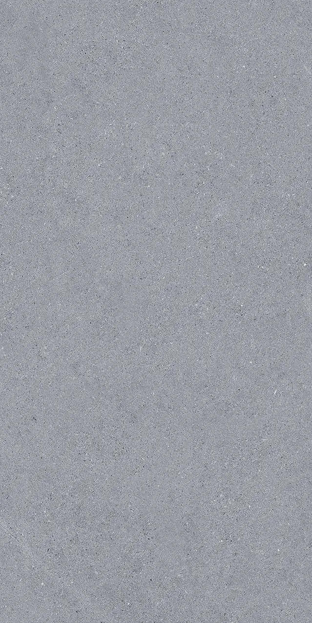 VI2-GM81603