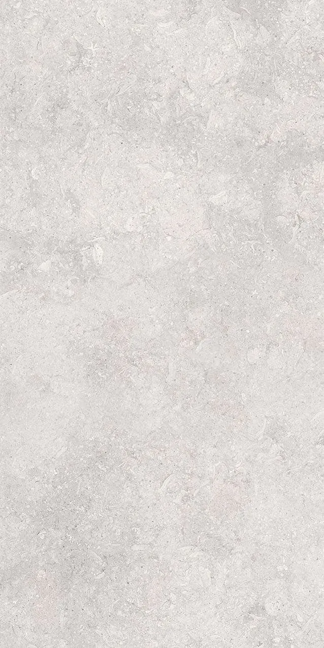 VI3-GM81601