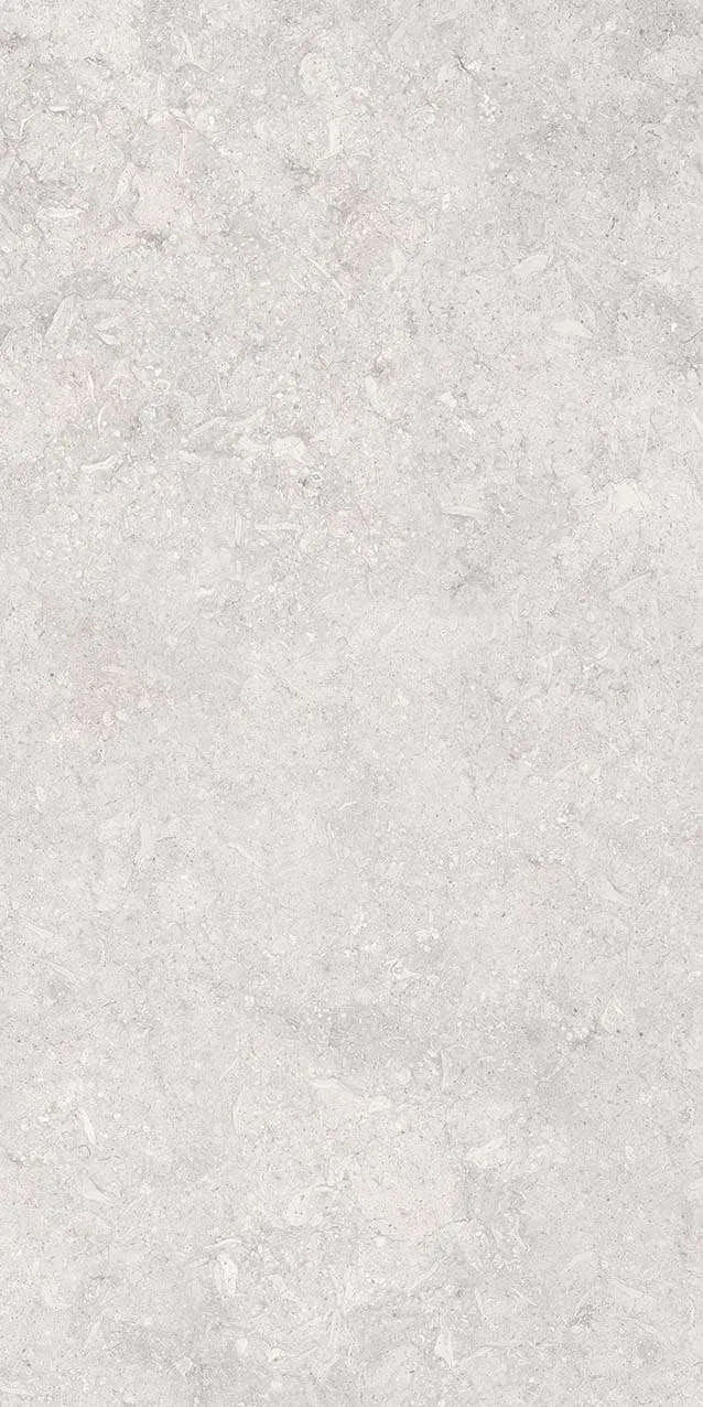 VI3-GM81601