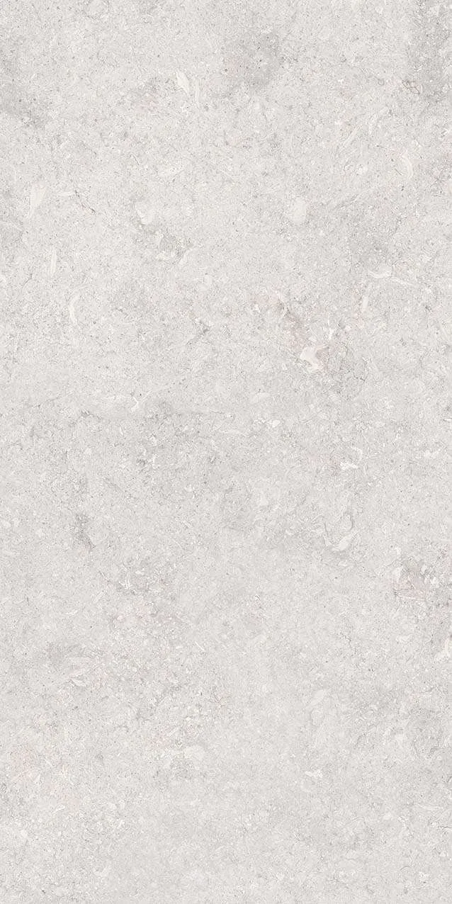 VI3-GM81601
