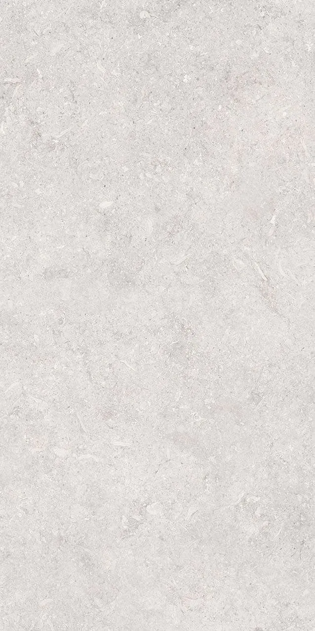 VI3-GM81601