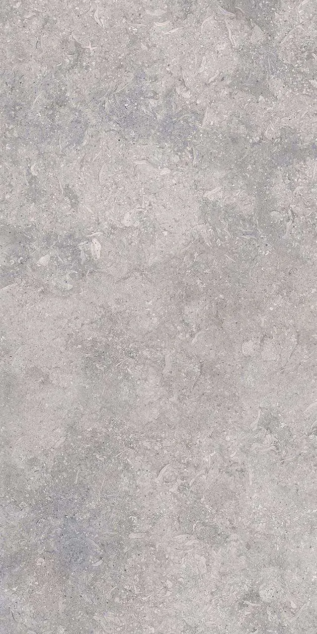 VI3-GM81602