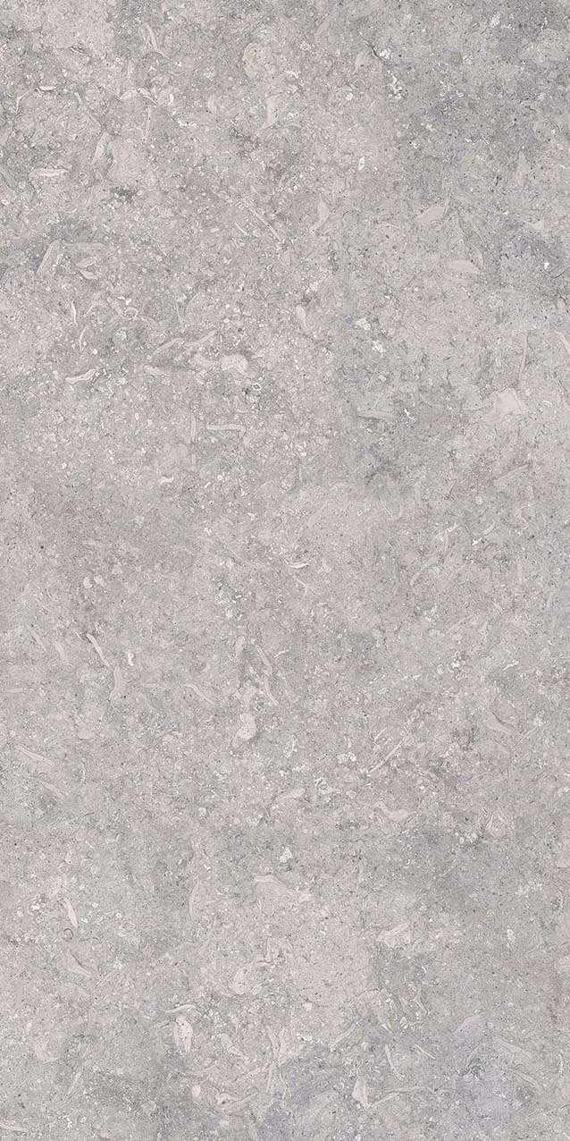 VI3-GM81602