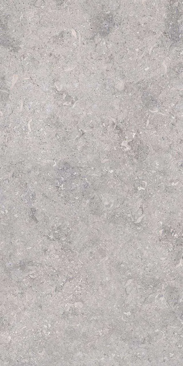 VI3-GM81602
