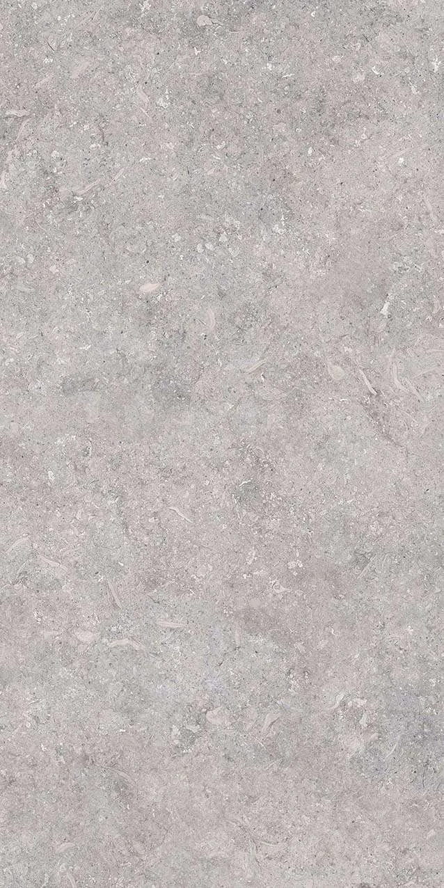 VI3-GM81602