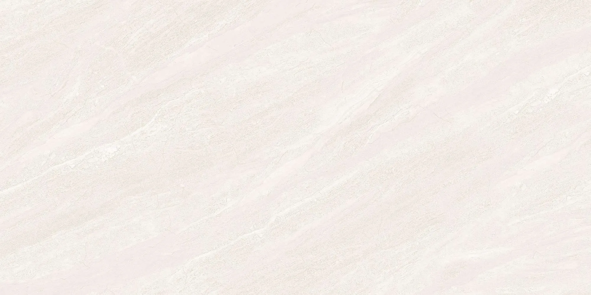 ECO48501