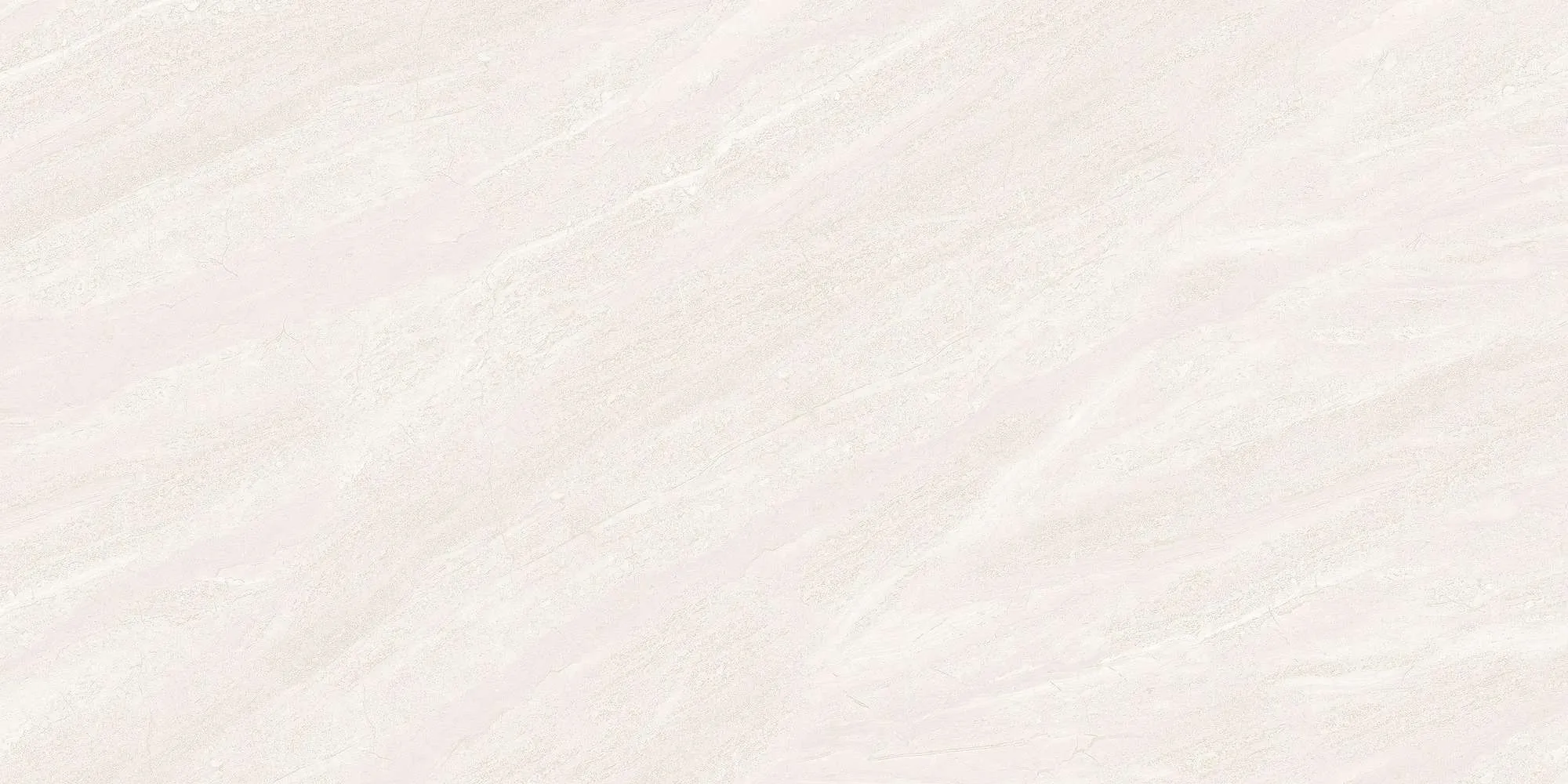 ECO48501