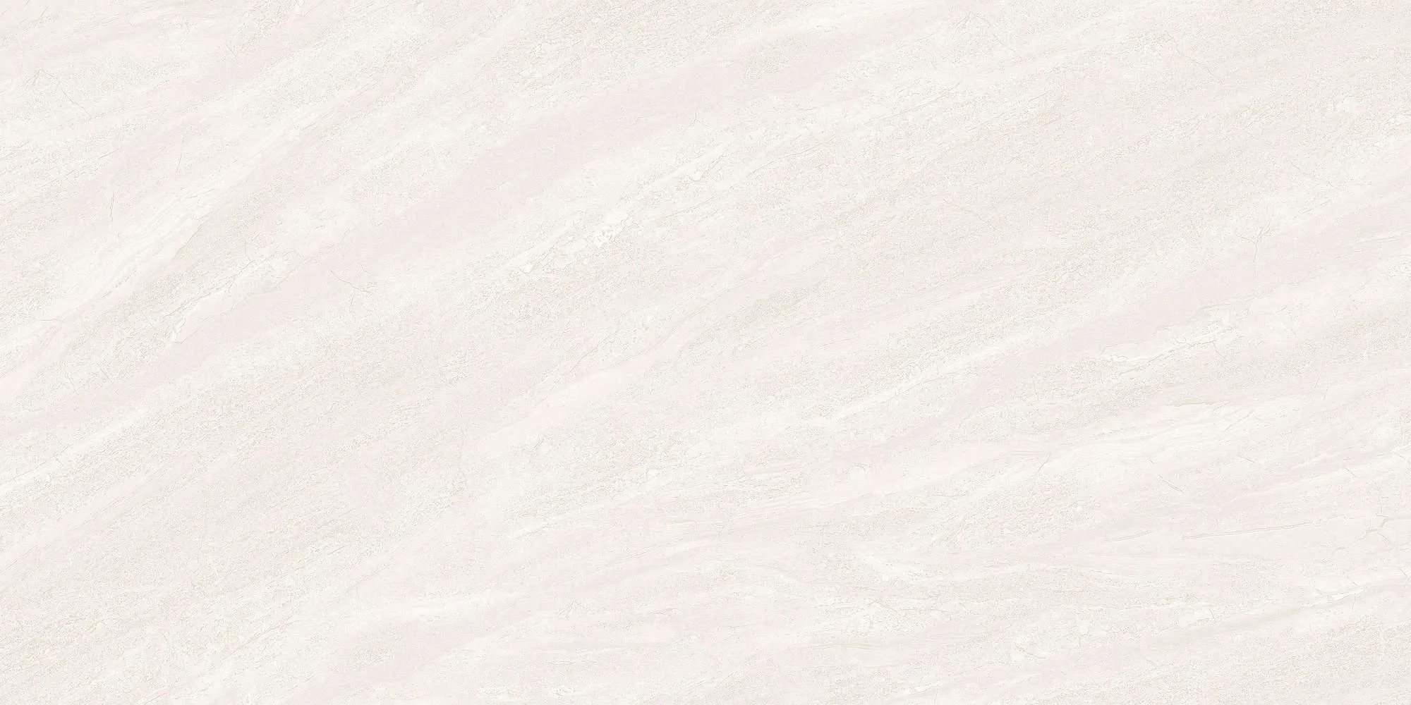 ECO48501