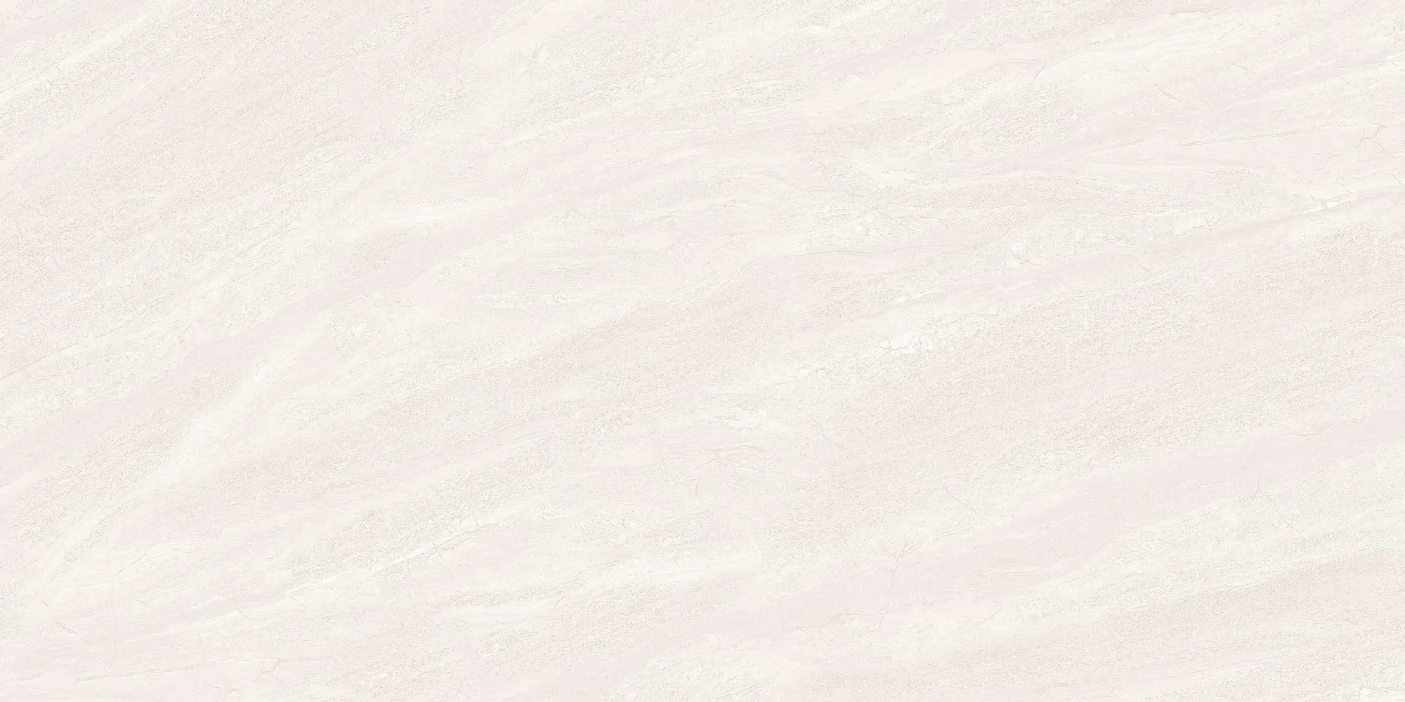 ECO48501