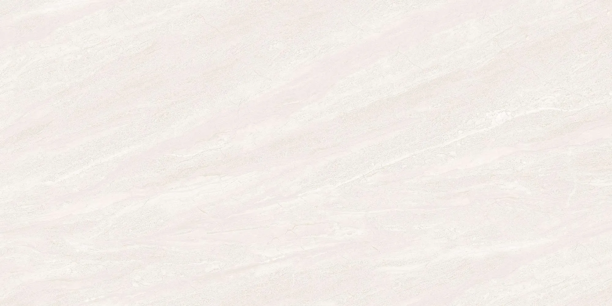 ECO48501