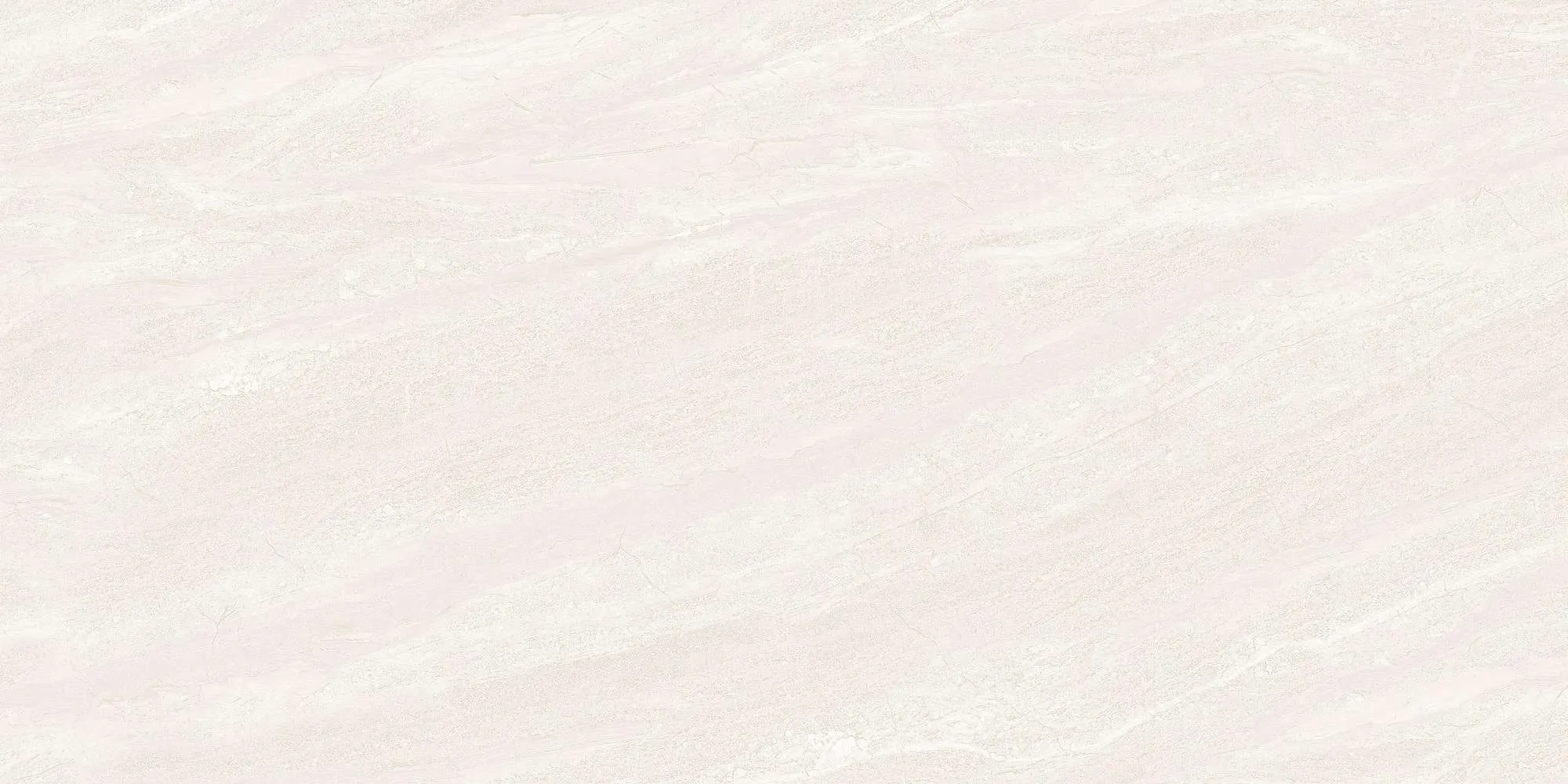 ECO48501