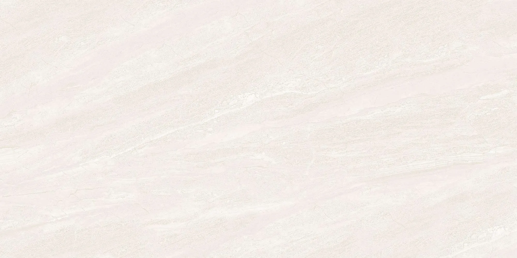 ECO48501