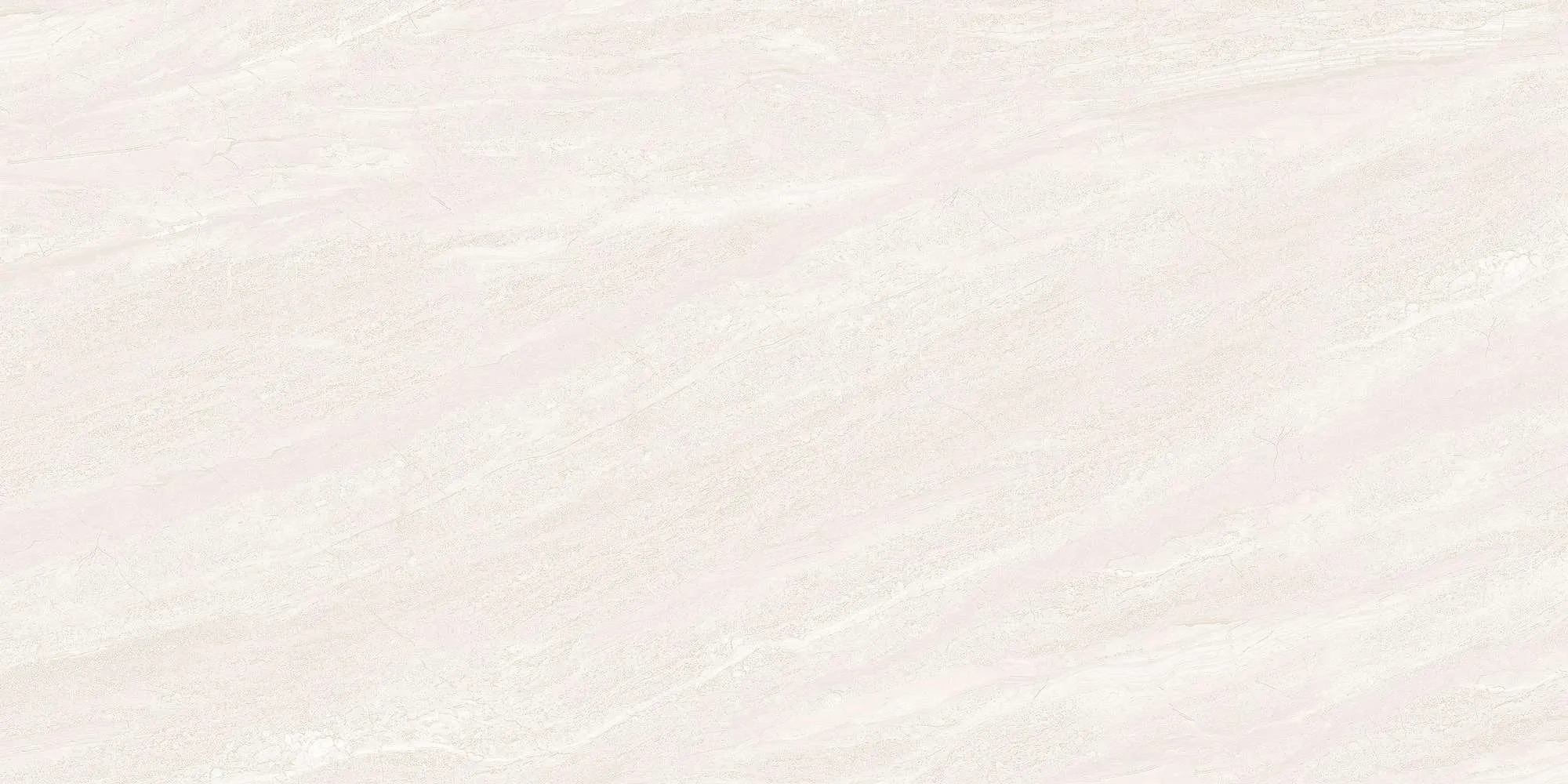 ECO48501