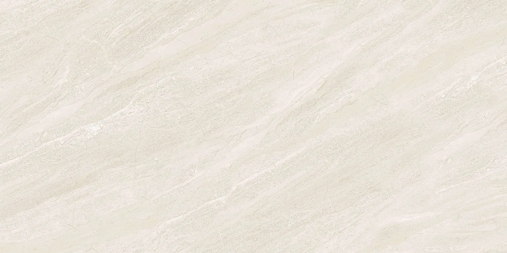 ECO48502