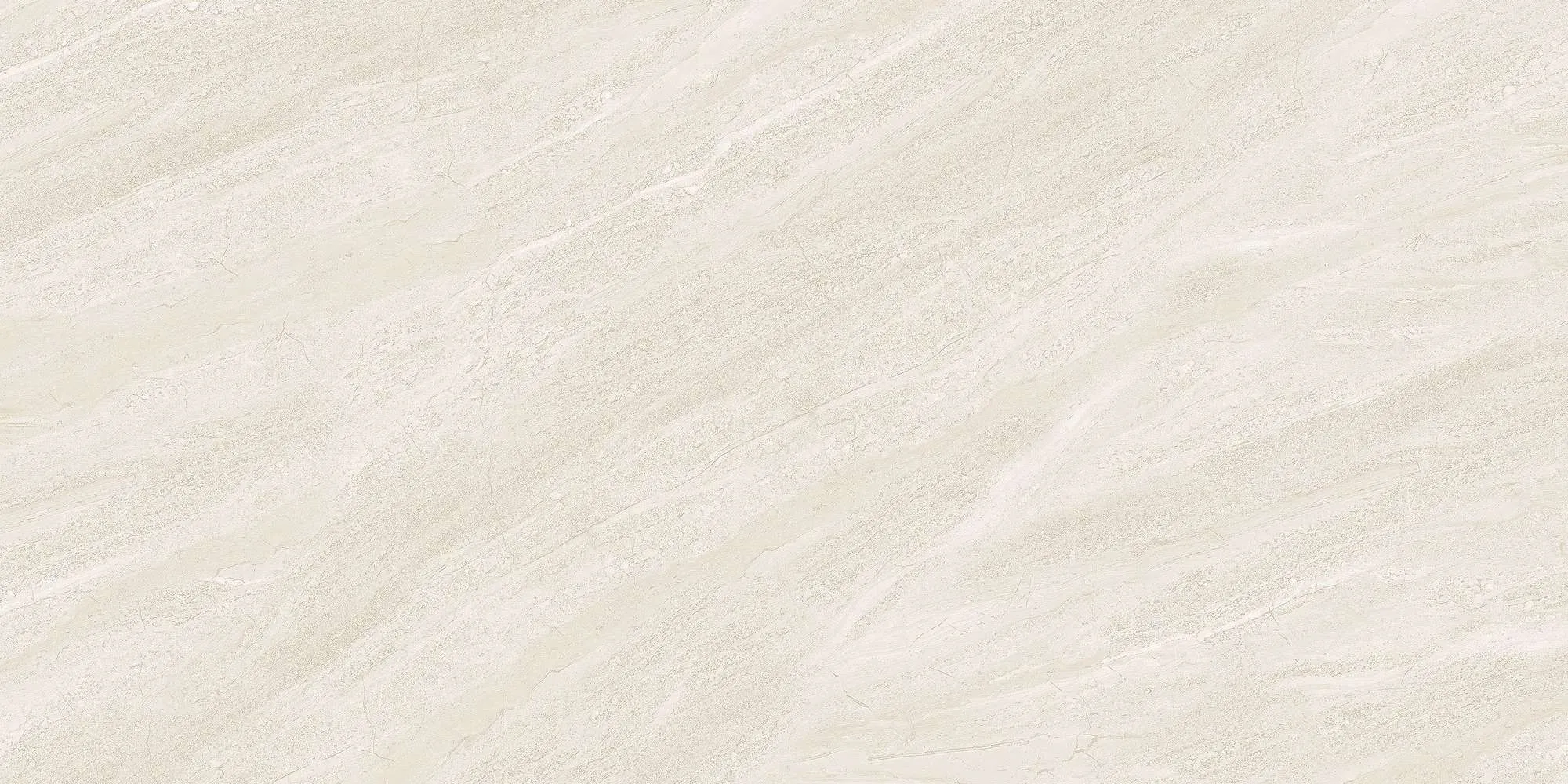 ECO48502
