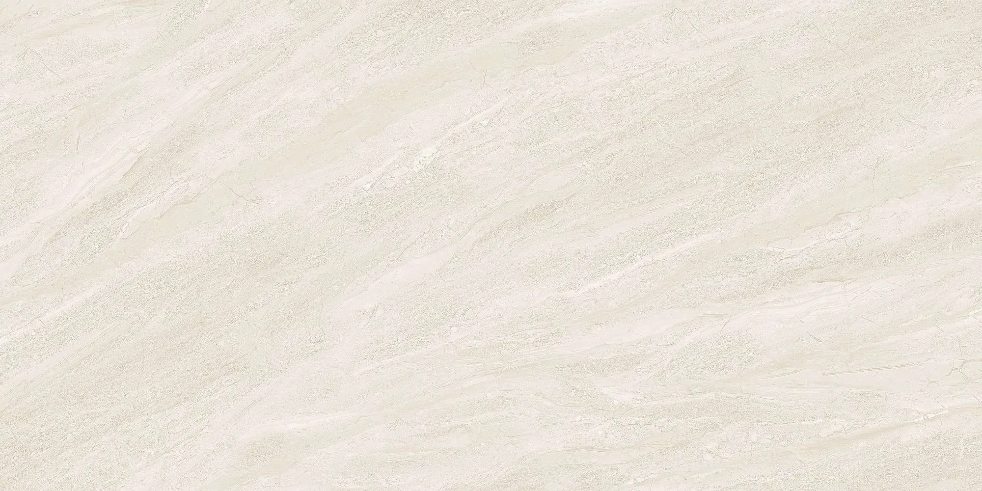 ECO48502