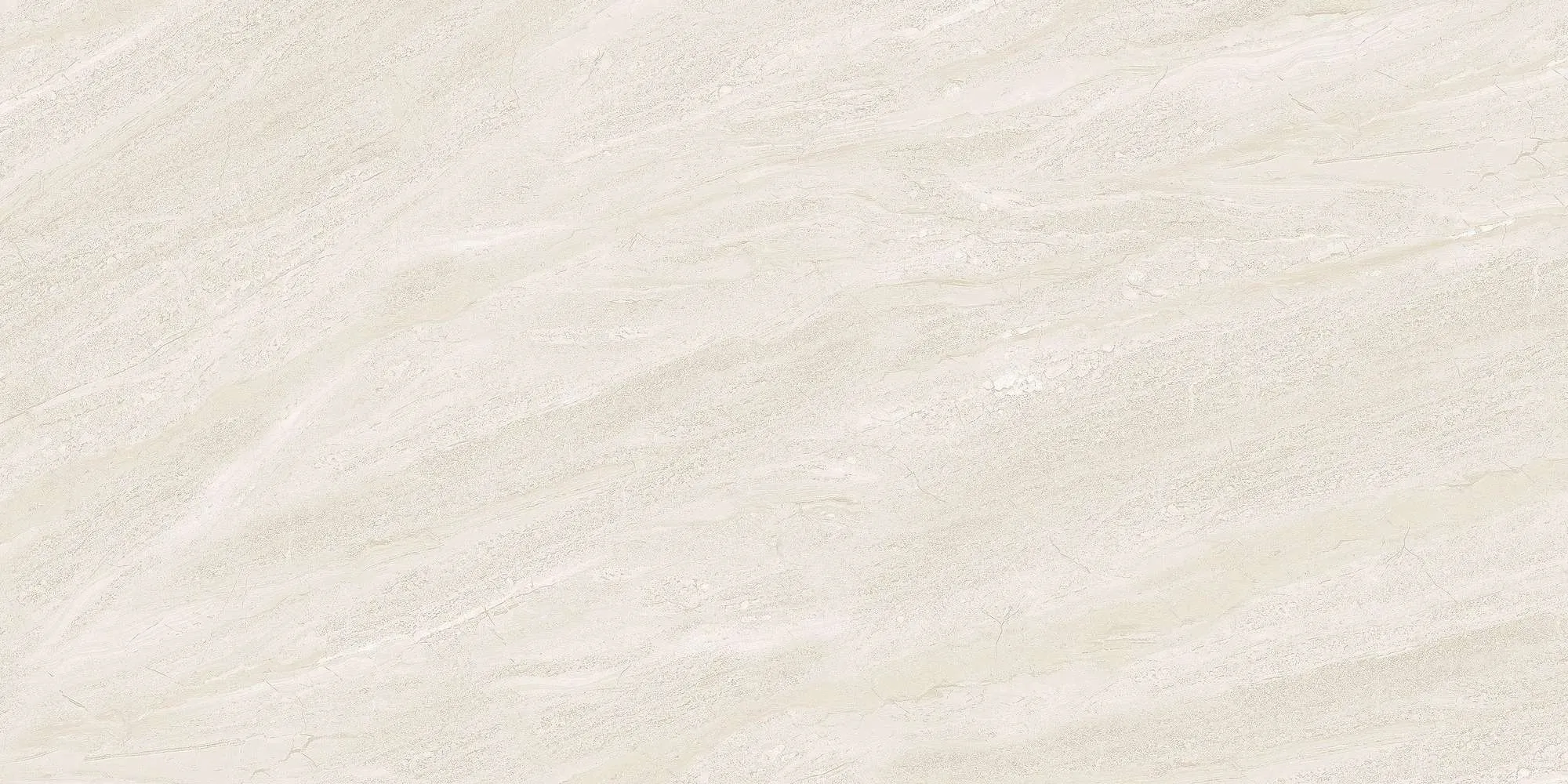 ECO48502