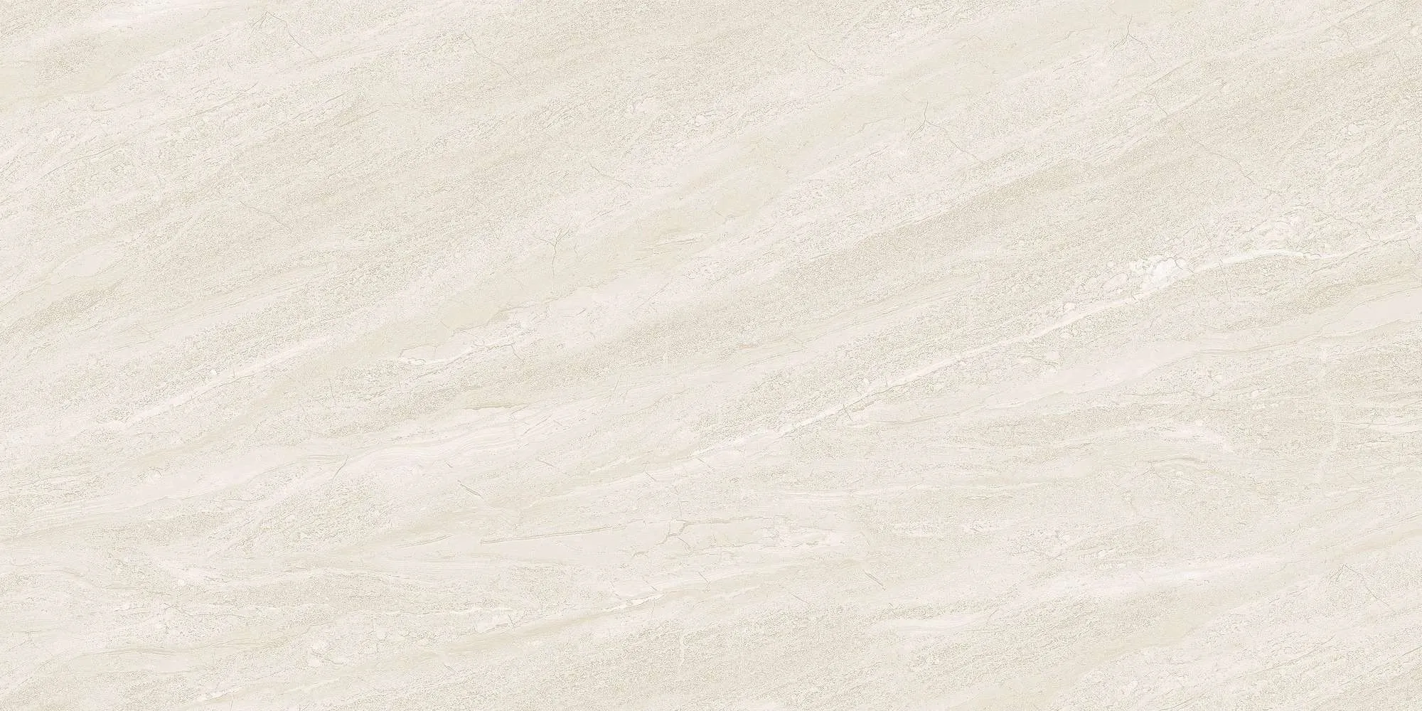 ECO48502