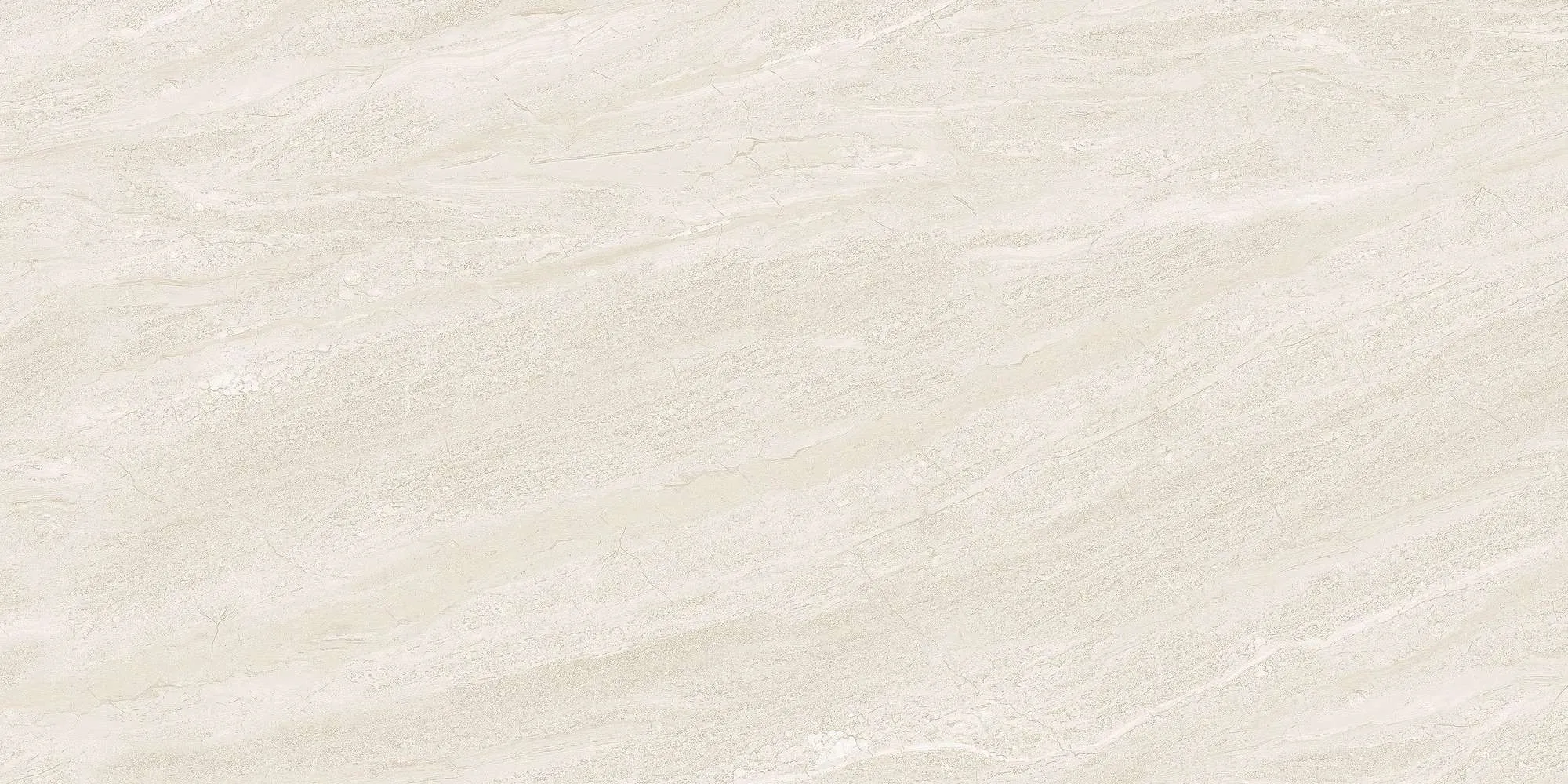 ECO48502