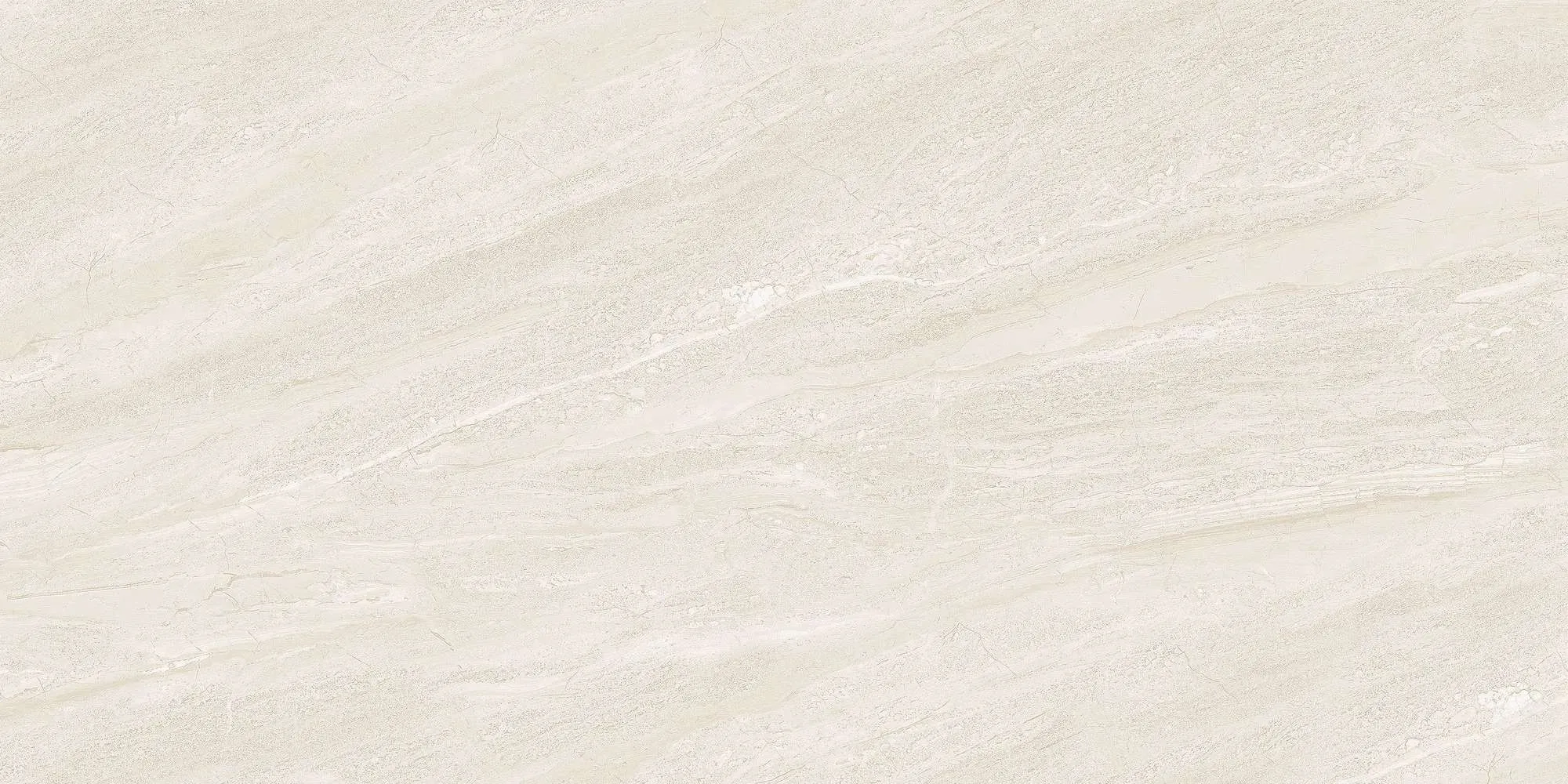 ECO48502