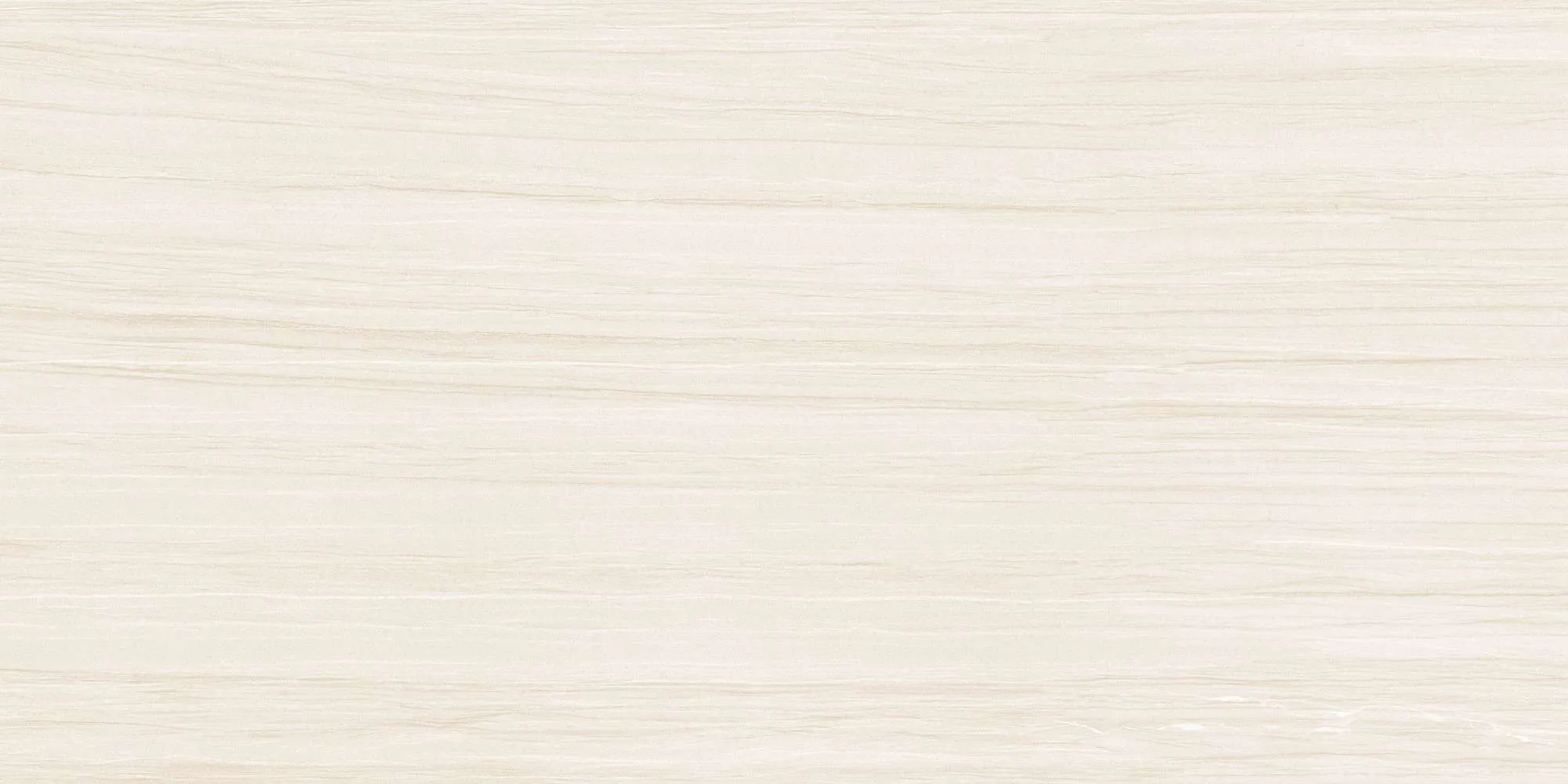 ECO48503