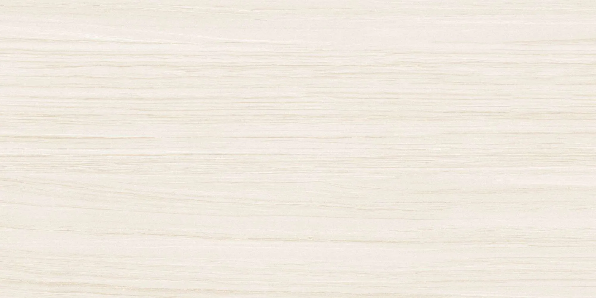 ECO48503