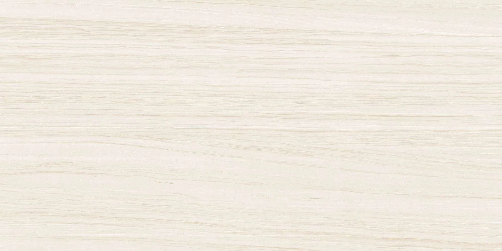 ECO48503