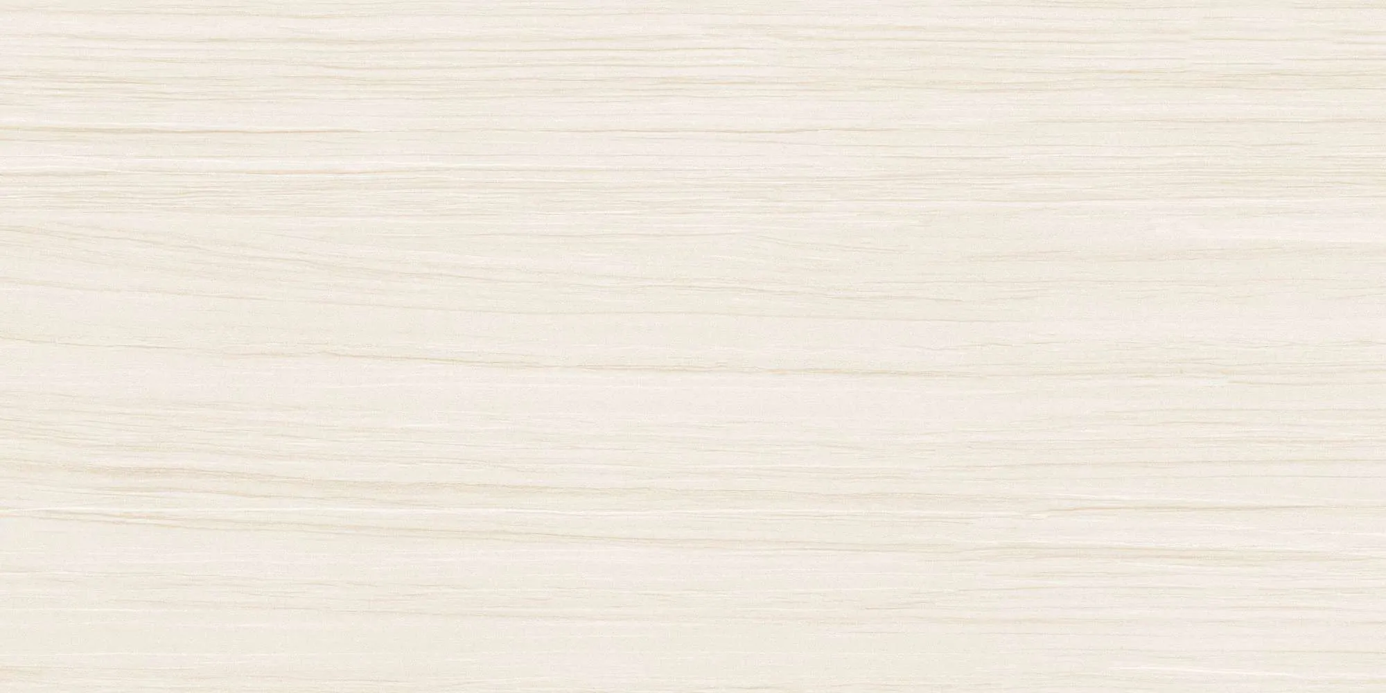 ECO48503