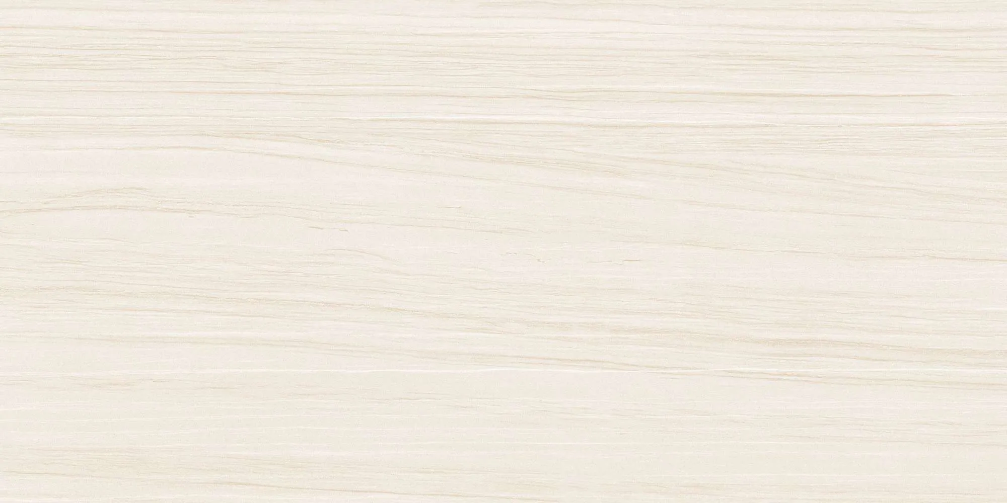 ECO48503
