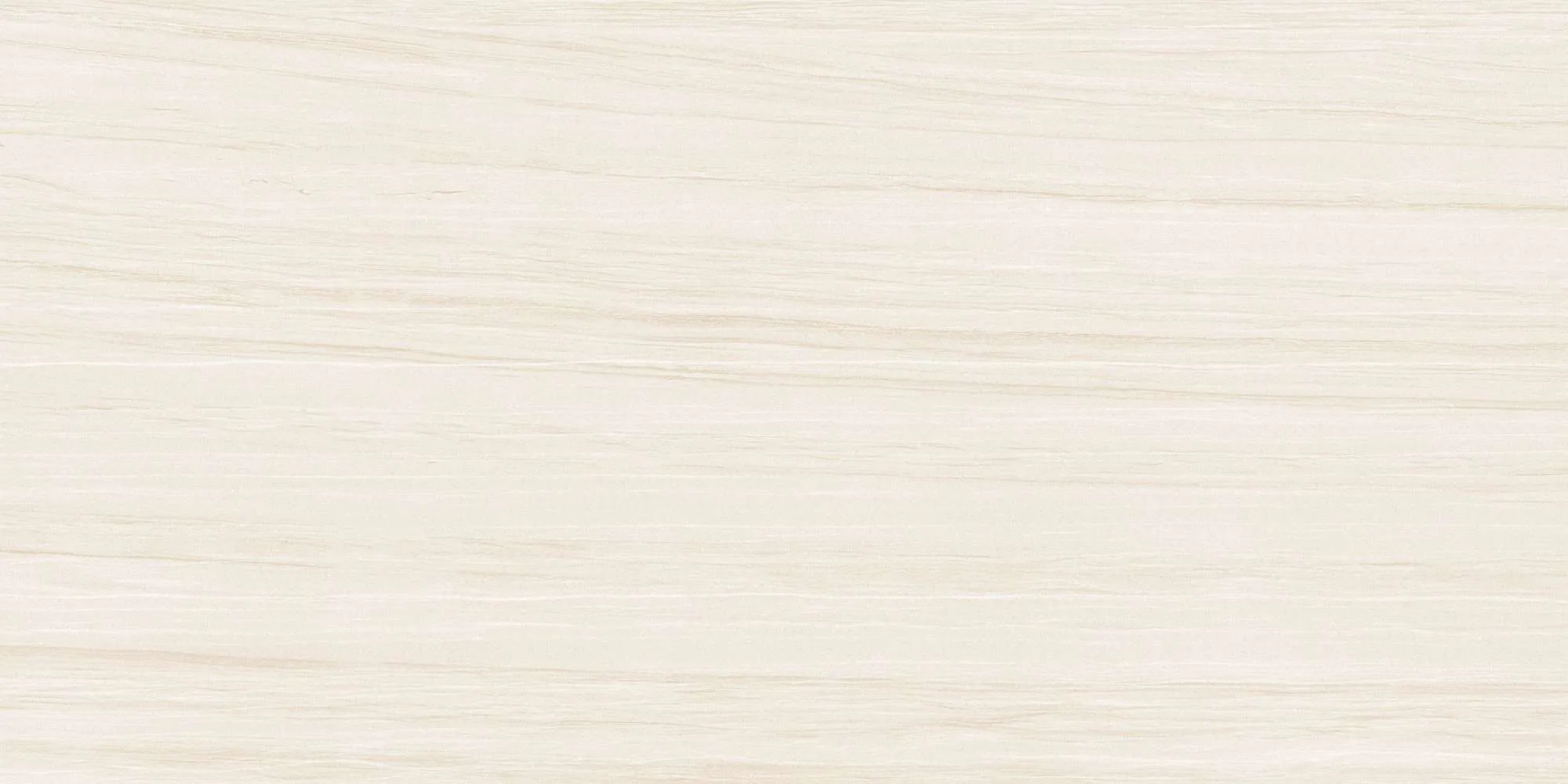 ECO48503