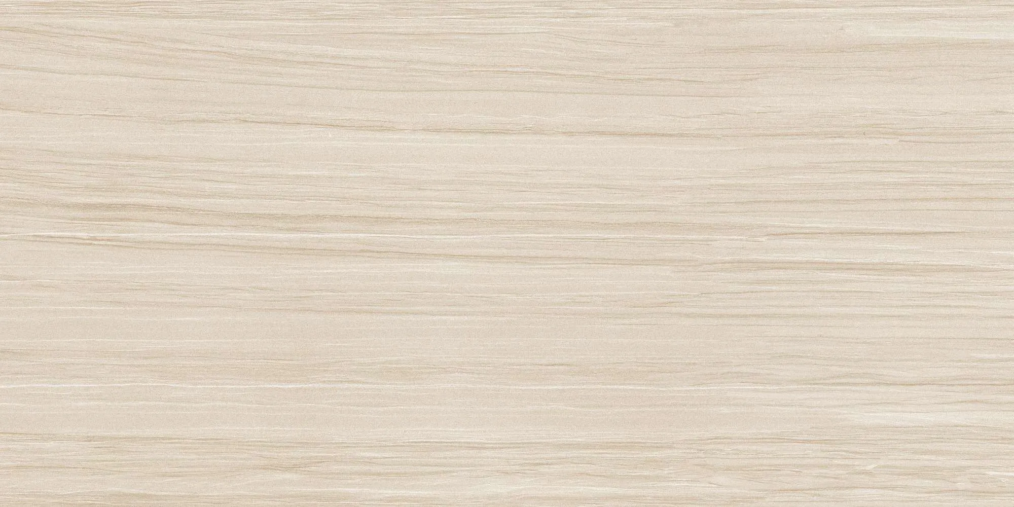 ECO48504