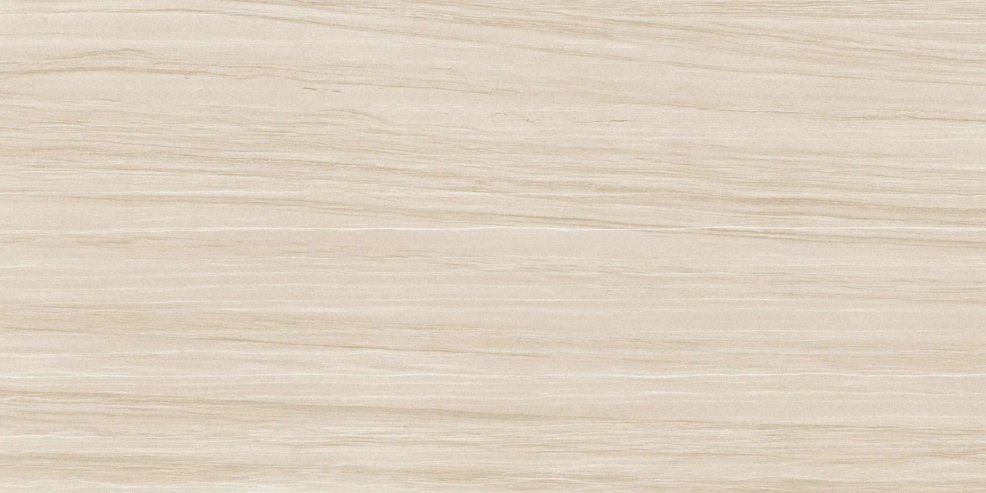 ECO48504