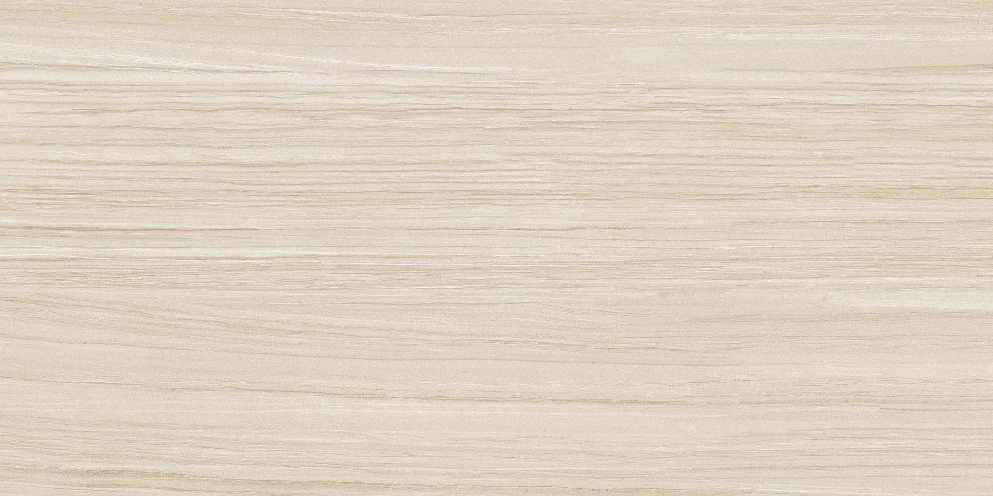 ECO48504