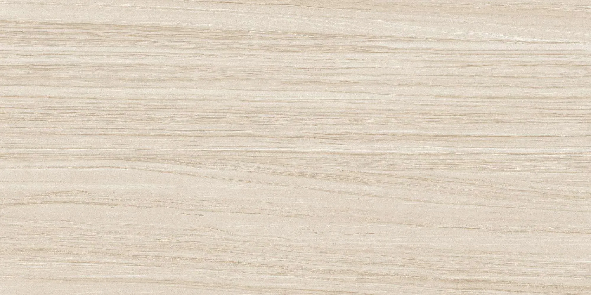 ECO48504