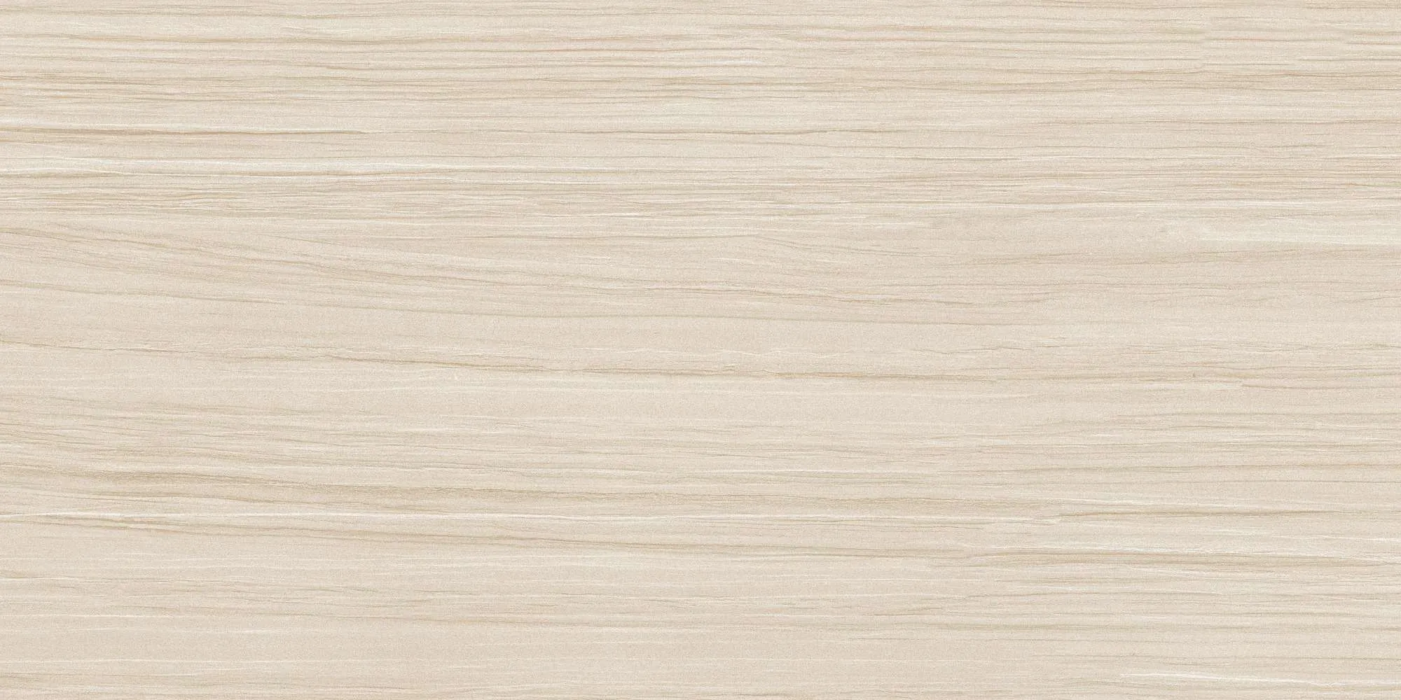 ECO48504