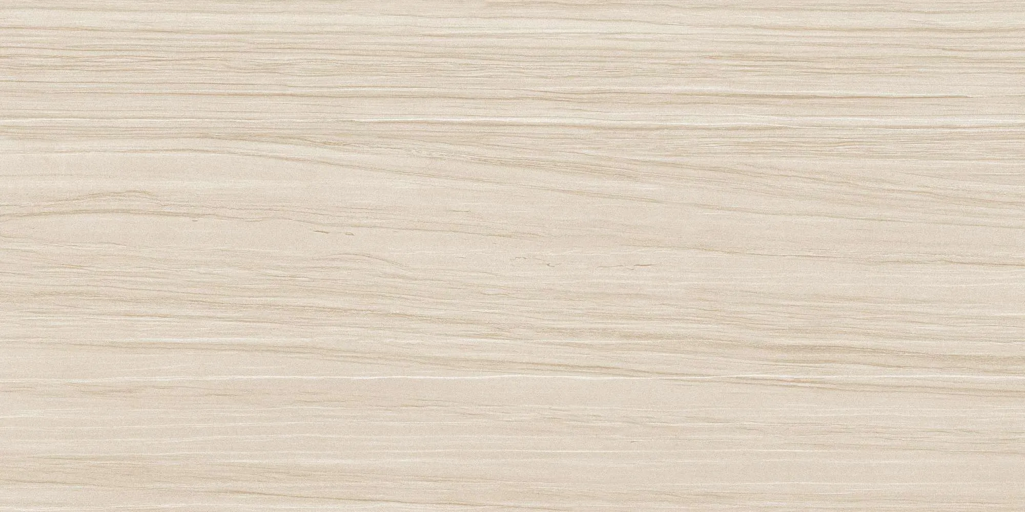 ECO48504