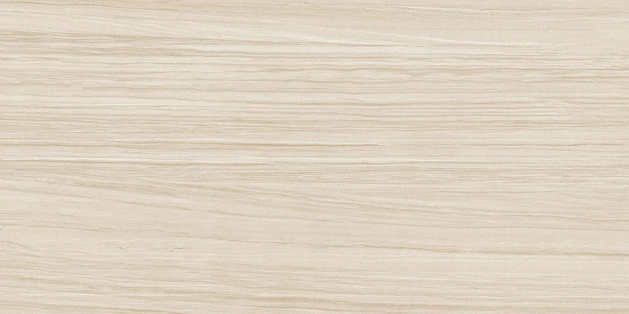 ECO48504