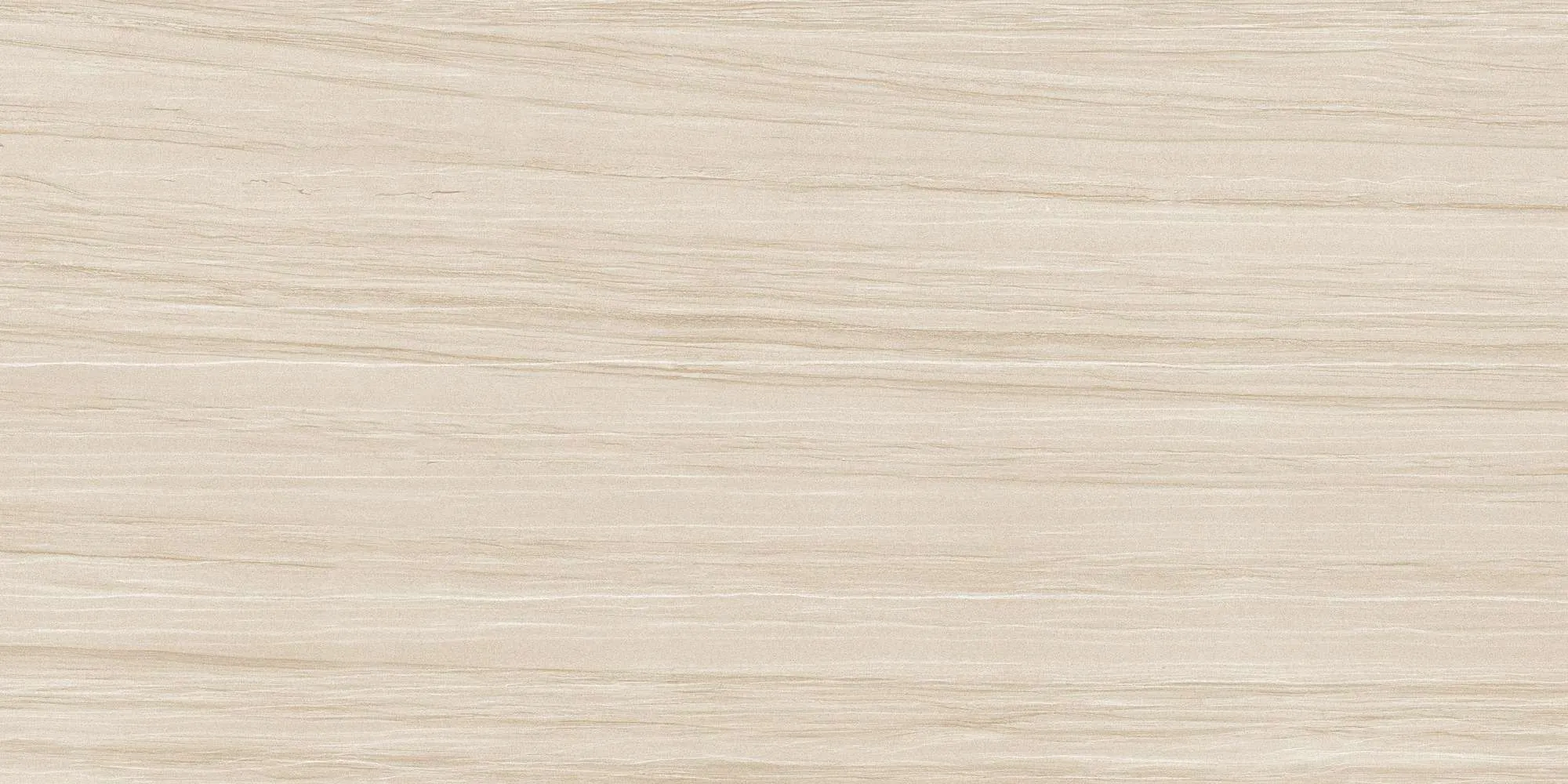 ECO48504