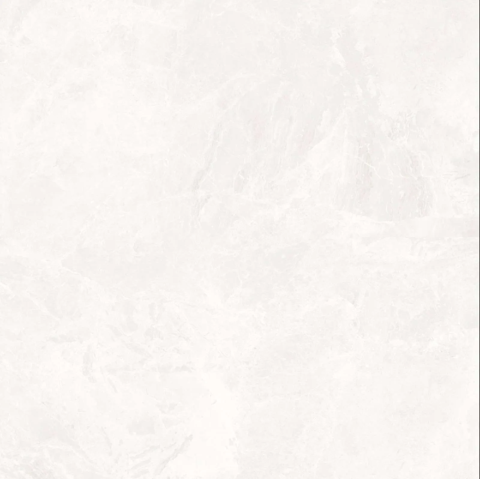 ECOM6912