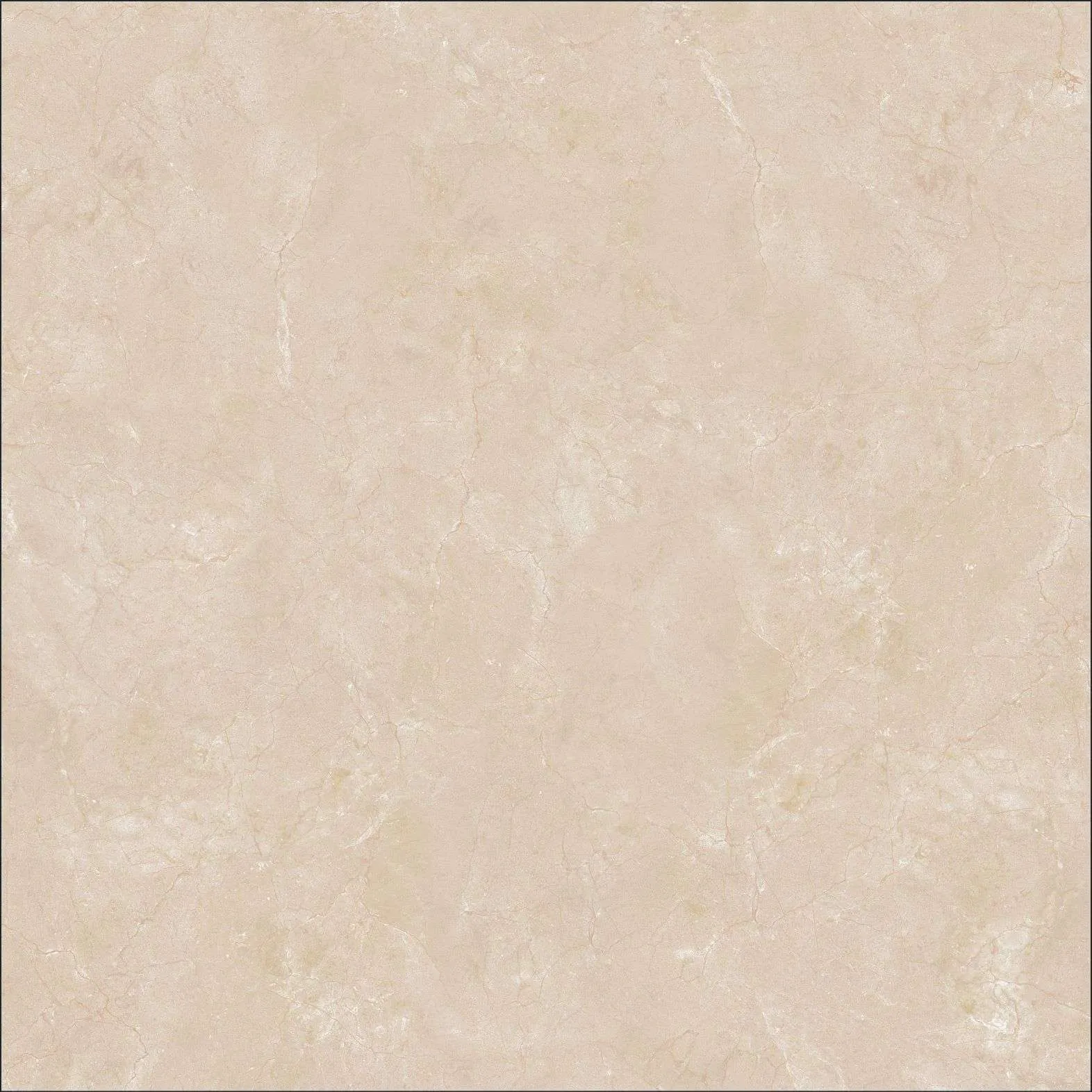 B6005