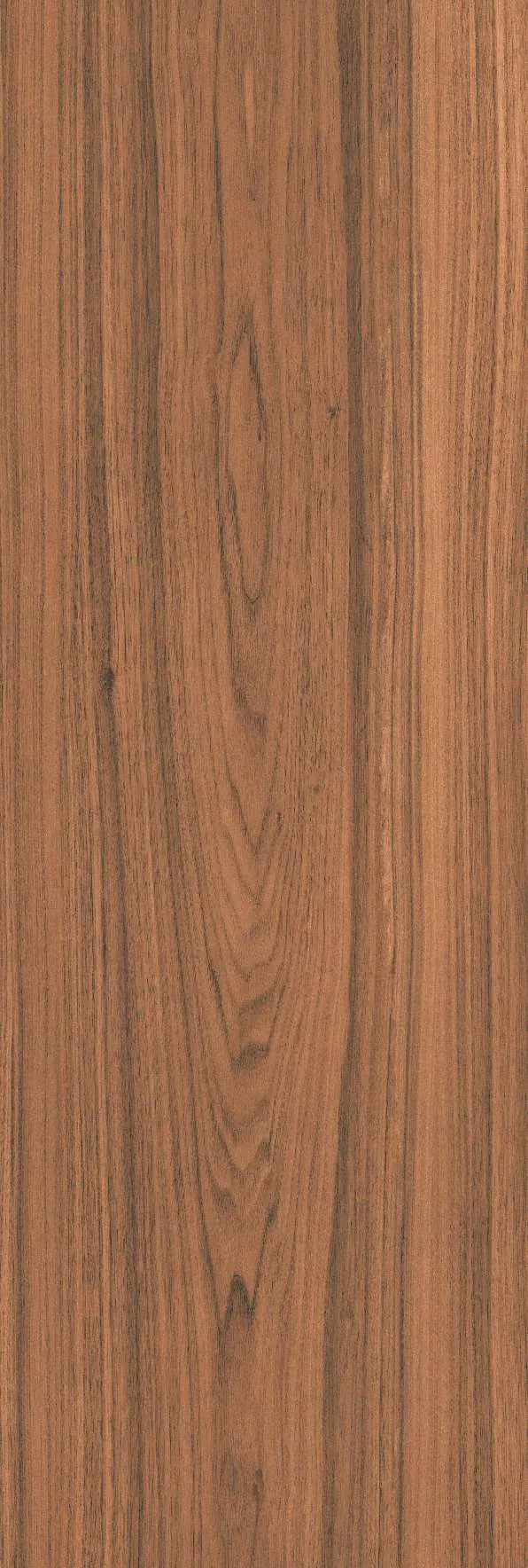 GQ 15904