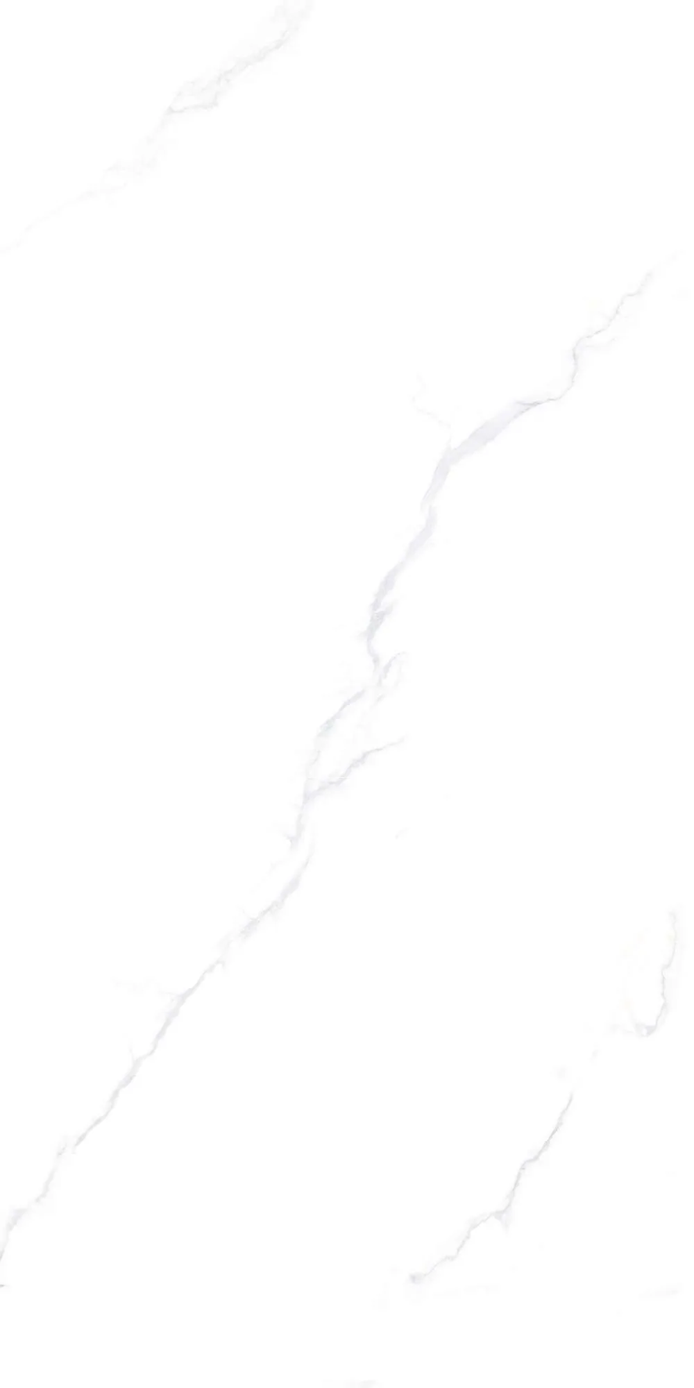 TL4808
