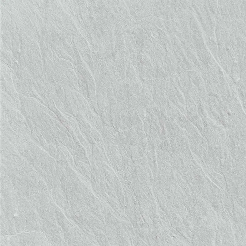 VG6006