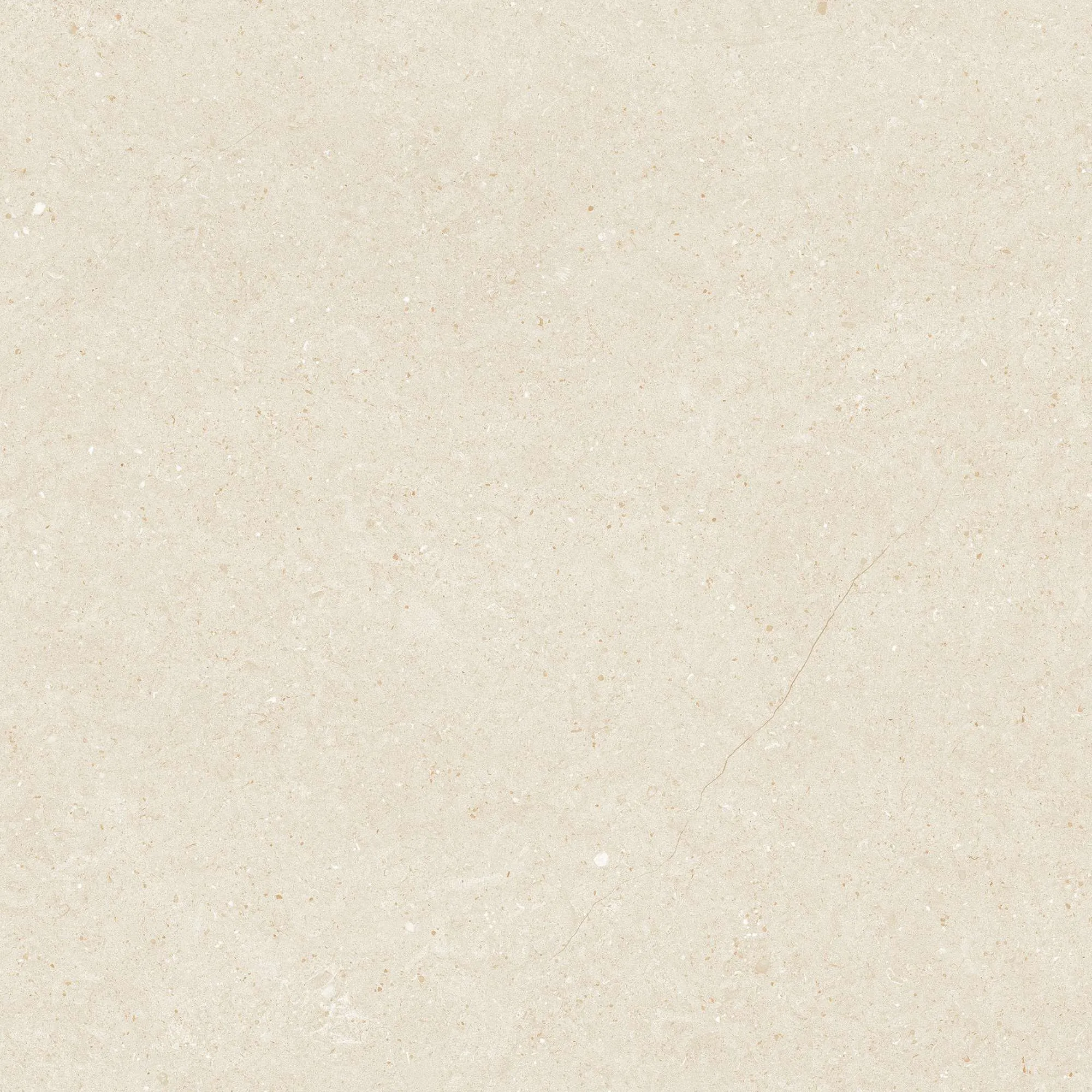 VHP8810
