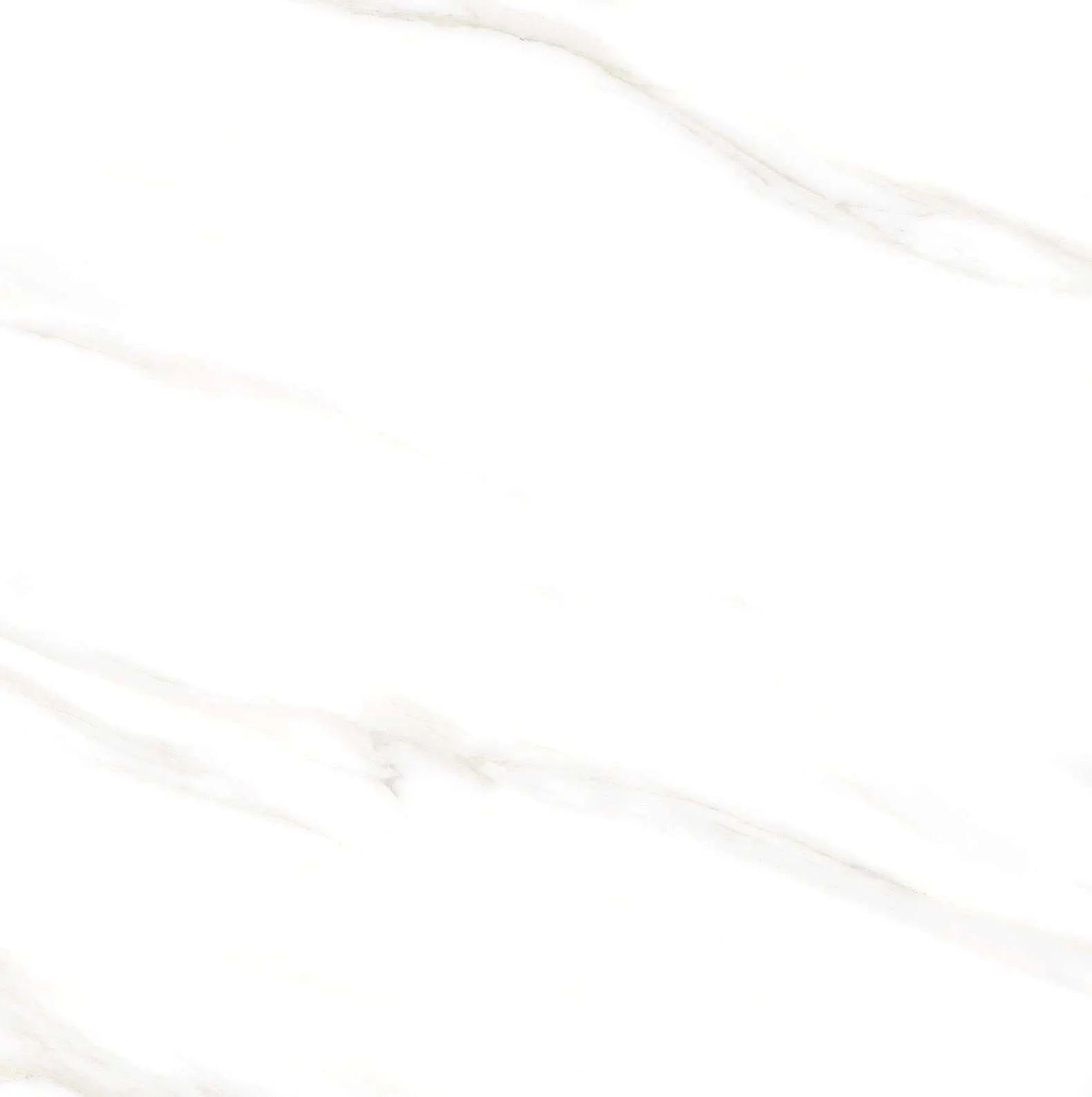 VIGGP883014