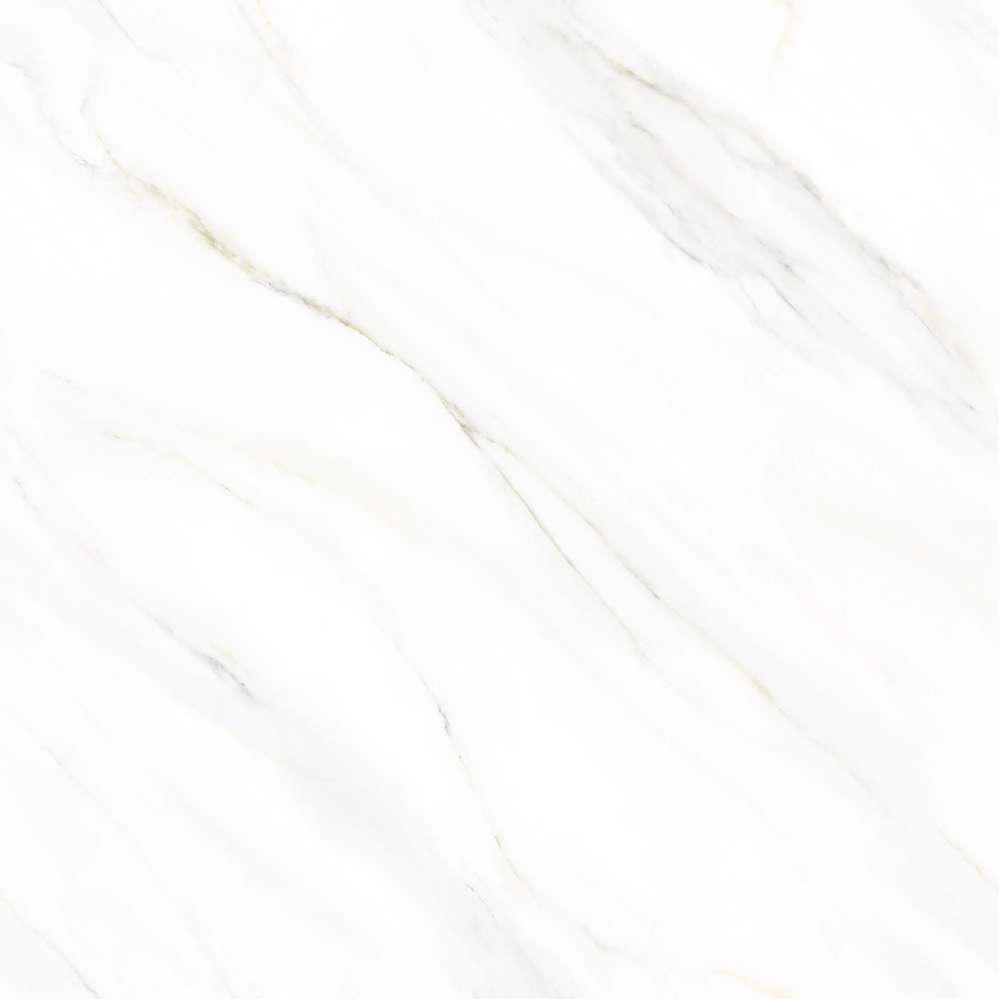 AZ1-P121201